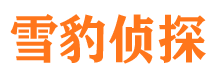 天峻市婚外情调查